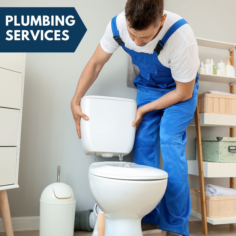 Plumbing Company in Cape Coral, FL